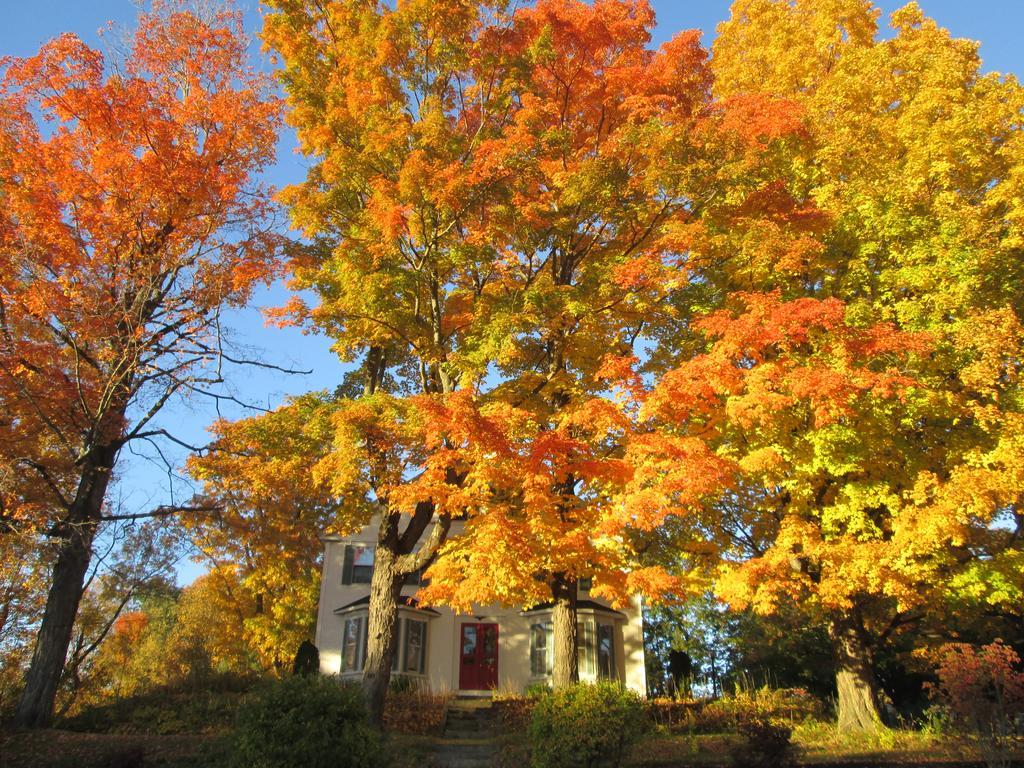 The Bridges Inn At Whitcomb House B&B Swanzey Extérieur photo