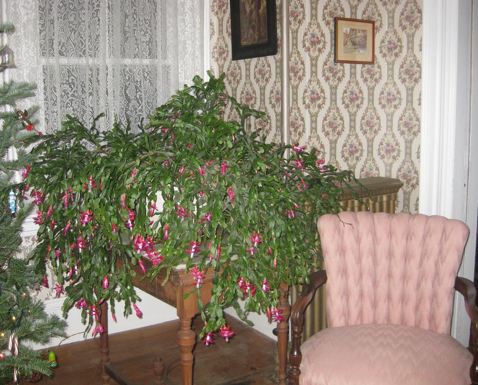The Bridges Inn At Whitcomb House B&B Swanzey Extérieur photo